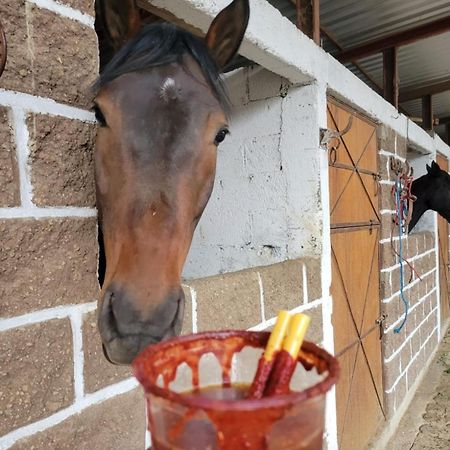 Vive En Un Rancho Hotel Puebla Kültér fotó