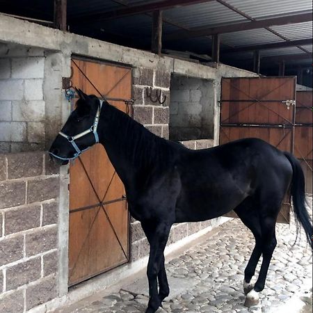 Vive En Un Rancho Hotel Puebla Kültér fotó