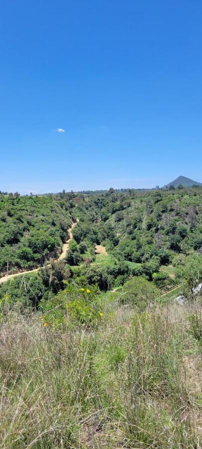 Vive En Un Rancho Hotel Puebla Kültér fotó